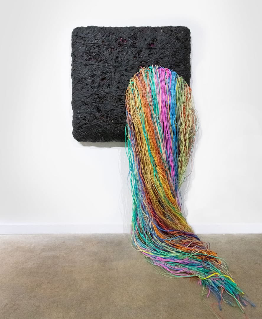 Scottie Burgess Fiber art sculpture abstract tar assemblage twine wrapped bound