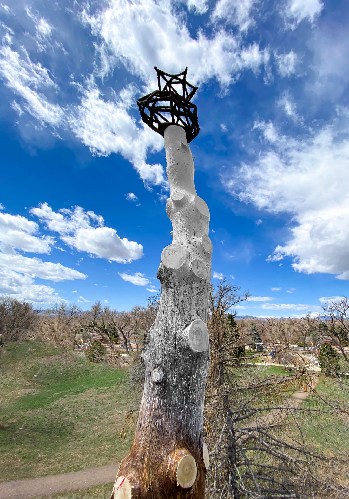 Scottie Burgess cast iron public art installation sustainable upcycled dead tree landmark exhibition