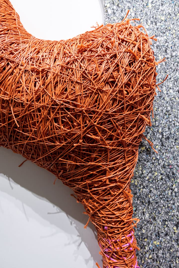 Scottie Burgess Twine wrapped bound amorphic sculpture