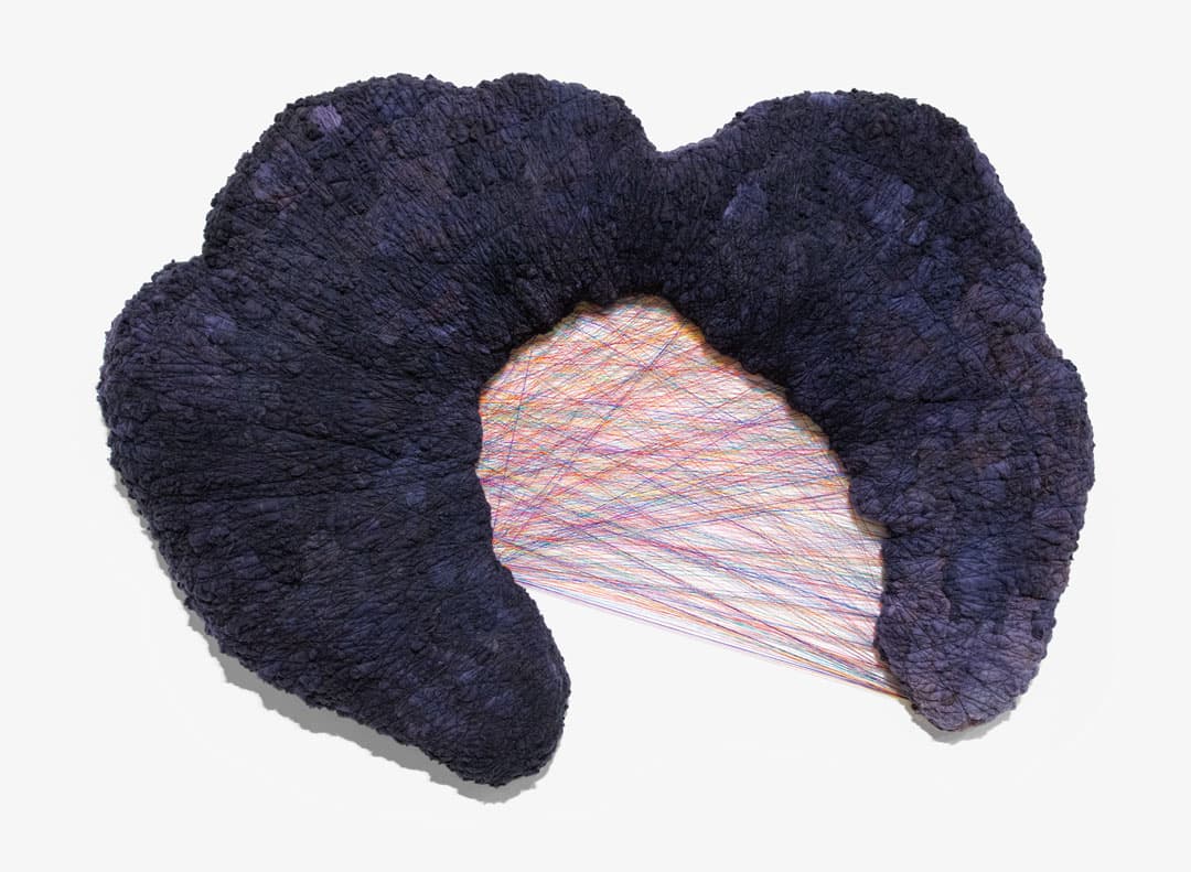 Scottie Burgess fiber art died cotton abstract assemblage twine wrapped bound